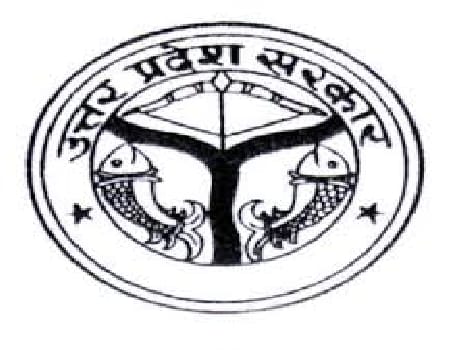 lohia avvas